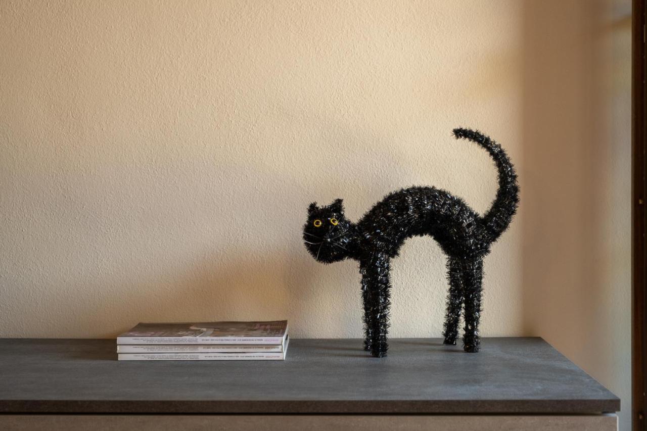 Casa Del Gatto Lägenhet Paratico Exteriör bild